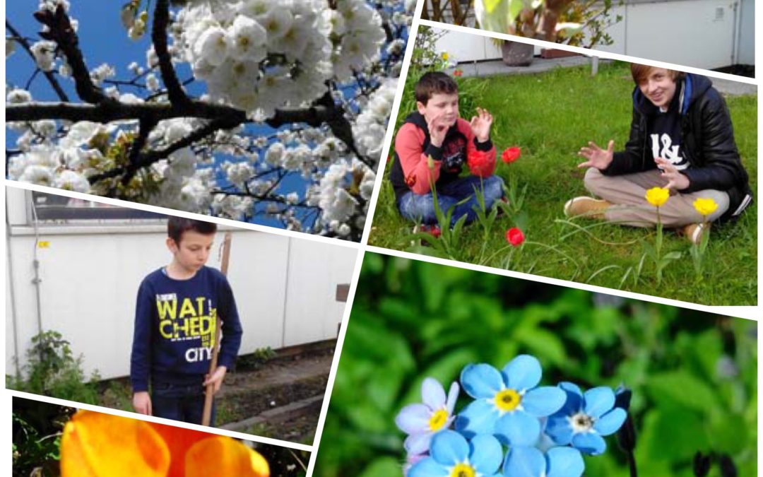 Die Garten-AG stellt sich vor